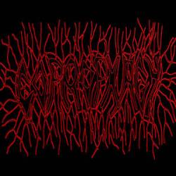 The Poo Stuck in Your Teeth